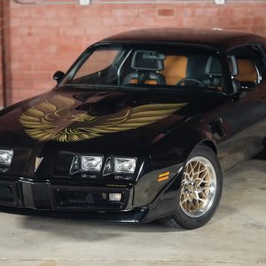 1979 Pontiac Firebird